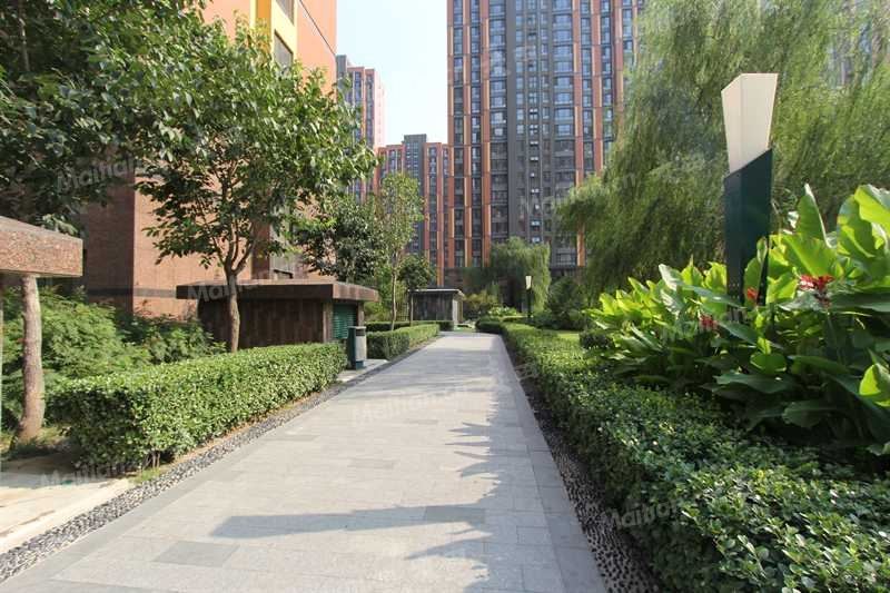 【火星园小区_火星园二手房\/租房】-北京麦田