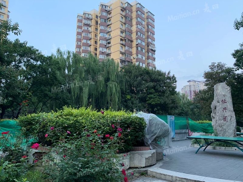 上海牡丹园小区图片
